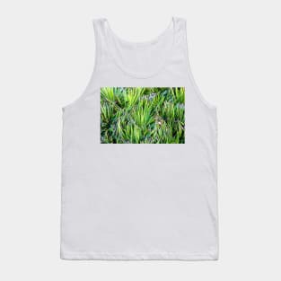 Dana Point Greenery Tank Top